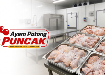 Supplier Ayam Potong MBG Cianjur